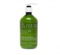 OLV-PSCO-5007